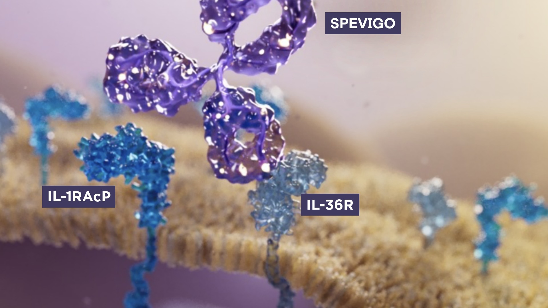 Molécule de spésolimab